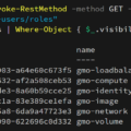 ConoHa 公開 API ロール一覧取得 PowerShell