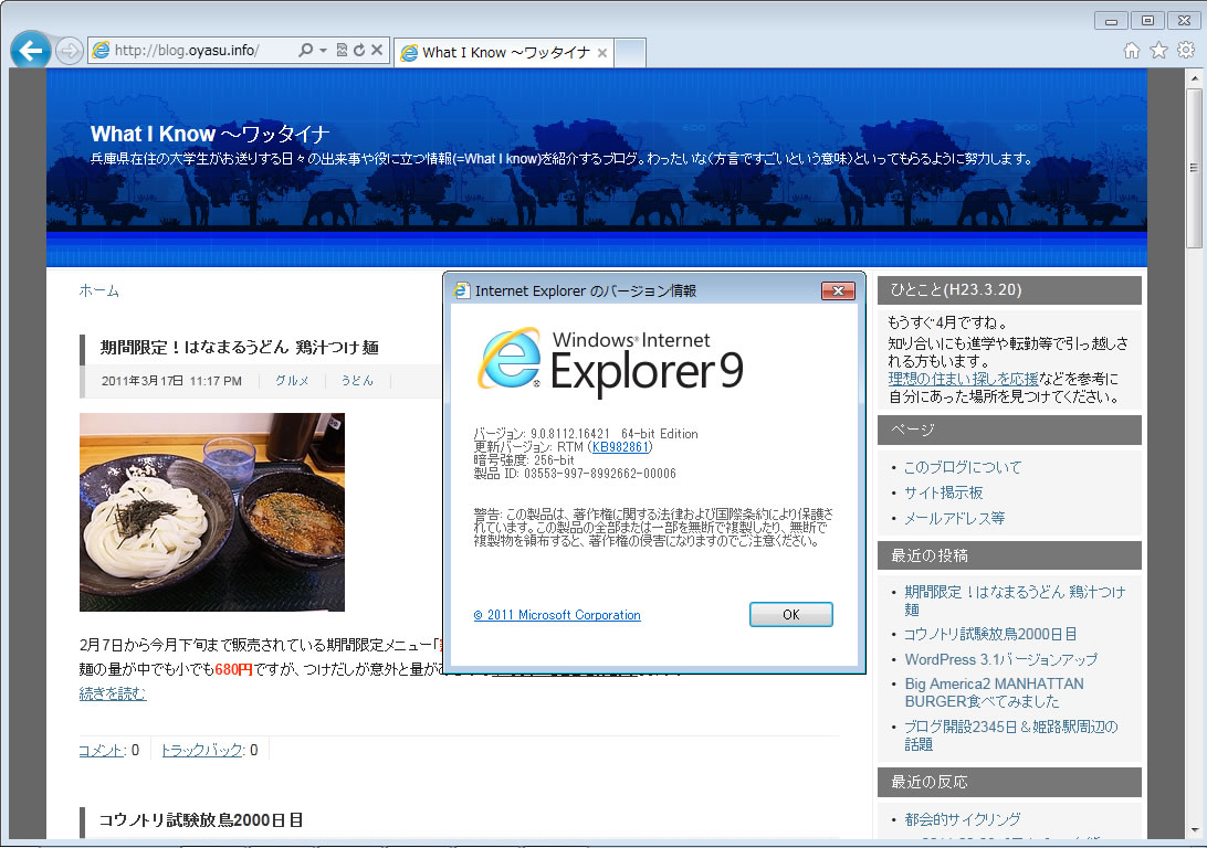 Internet Explorer 9 日本語
